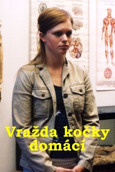 постер Vrazda kocky domaci